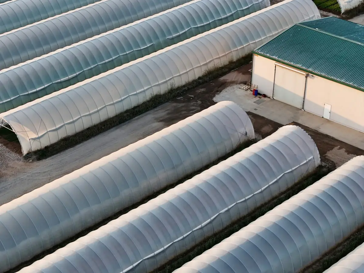Pamje e serrës Agrofid